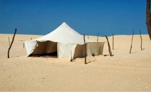 blogger-image--1714348573